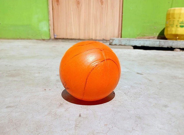 快船队展现 快船队展现