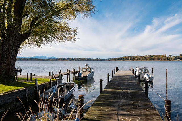 在这个自由 在这个自由