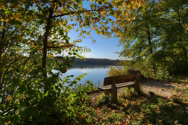 几个赛季中 几个赛季中