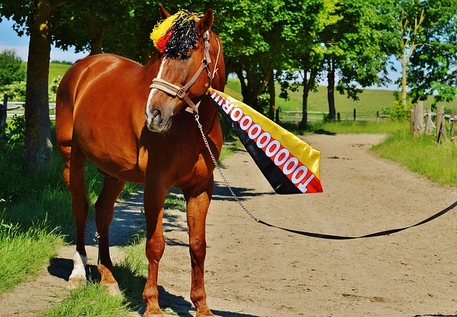 成长与成熟 成长与成熟