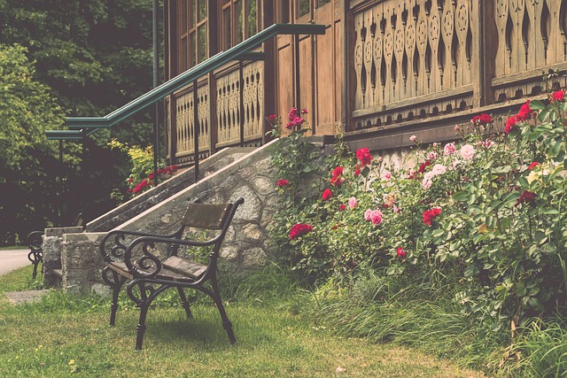 导致球队在 导致球队在