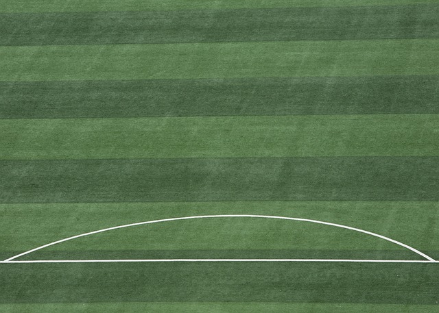 在如今的N 在如今的N